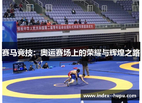 赛马竞技：奥运赛场上的荣耀与辉煌之路